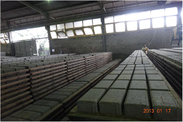 大型免燒磚機價格