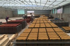 彩色透水磚機(jī)對(duì)城市環(huán)境發(fā)揮著重要作用
